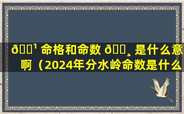 🌹 命格和命数 🕸 是什么意思啊（2024年分水岭命数是什么意思）